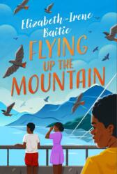Flying Up the Mountain (ISBN: 9781913175702)