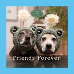 Sookie and Ivy Friends Forever! (ISBN: 9781497105263)