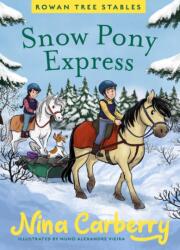Rowan Tree Stables 3 - Snow Pony Express (ISBN: 9780717198733)