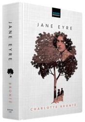 Jane Eyre (ISBN: 9780486853864)
