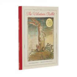Velveteen Rabbit (ISBN: 9781398804104)