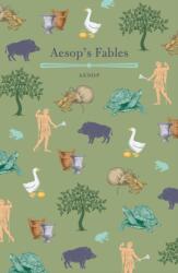 Aesop's Fables (ISBN: 9781838579715)