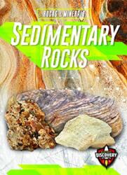 Sedimentary Rocks (ISBN: 9781644870778)
