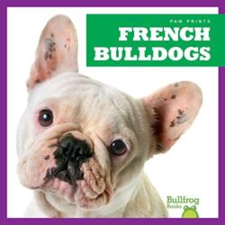 French Bulldogs (ISBN: 9781624967702)