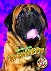 Mastiffs (ISBN: 9781626177932)