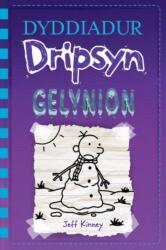 Dyddiadur Dripsyn: 13. Gelynion (ISBN: 9781804164174)