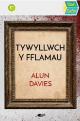 Stori Sydyn: Tywyllwch y Fflamau (ISBN: 9781800996199)