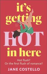 It's Getting Hot in Here (ISBN: 9781399739344)
