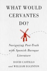 What Would Cervantes Do? (ISBN: 9780228008156)