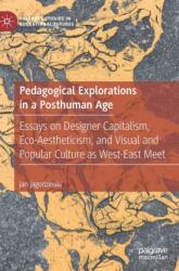 Pedagogical Explorations in a Posthuman Age (ISBN: 9783030486174)