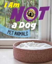 I Am Not a Dog (ISBN: 9781398253360)