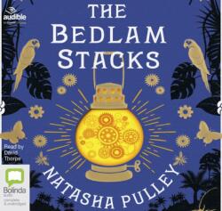 Bedlam Stacks (ISBN: 9781489437143)