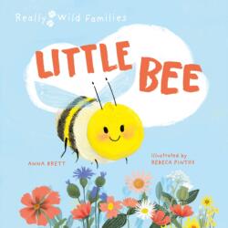 Little Bee (ISBN: 9780711274143)