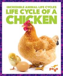 Life Cycle of a Chicken (ISBN: 9781624968068)
