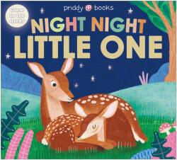 Night Night Little One (ISBN: 9781916745308)