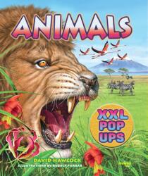 Animals XXL pop-ups (ISBN: 9782889754274)