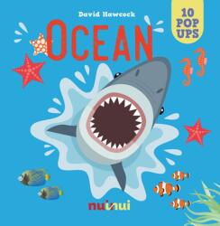 Ocean (ISBN: 9782889358724)