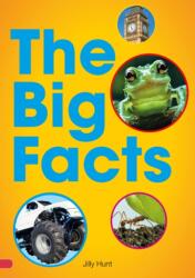 Big Facts Book (ISBN: 9780702327223)