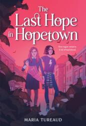 The Last Hope in Hopetown (ISBN: 9780316368568)