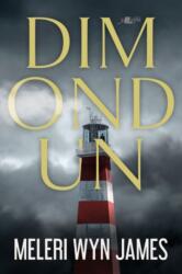Dim ond un (ISBN: 9781800992214)