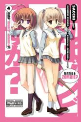 Is This a Zombie? , Vol. 4 (ISBN: 9780316245333)