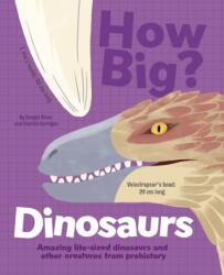 How Big? Dinosaurs (ISBN: 9781398828582)