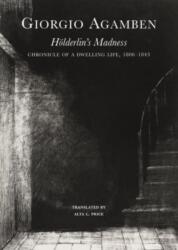 Holderlin's Madness (ISBN: 9781803094427)