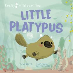 Little Platypus (ISBN: 9780711274174)