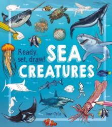 Ready, Set, Draw! Sea Creatures (ISBN: 9781784289829)
