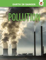Pollution (ISBN: 9781914087899)