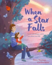 When a Star Falls (ISBN: 9781408364963)