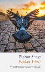 Pigeon Songs (ISBN: 9781781724903)