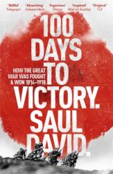 100 Days to Victory: How the Great War Was Fought and Won 1914-1918 (ISBN: 9781444763386)