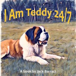 I Am Teddy 24/7 (ISBN: 9781803695648)