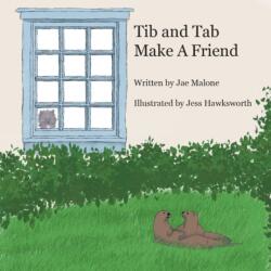 Tib and Tab Make A Friend (ISBN: 9781800315778)