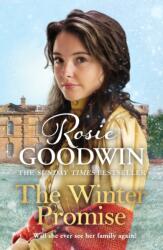 The Winter Promise (ISBN: 9781838772994)