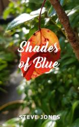 Shades of Blue (ISBN: 9781800317192)