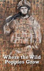 Where the Wild Poppies Grow (ISBN: 9781800319912)