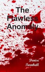 Flawless Anomaly (ISBN: 9781803691244)
