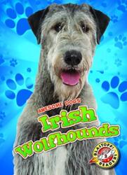 Irish Wolfhounds (ISBN: 9781626177925)