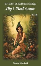 Fairies of Tumbledown Cottage 2: Lily's Great Escape (ISBN: 9781789554670)