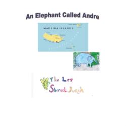 Elephant Called Andre (ISBN: 9781789553512)