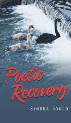Poetic Recovery (ISBN: 9781787197749)