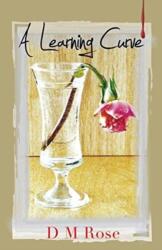 Learning Curve (ISBN: 9781787191471)