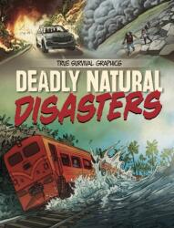 Deadly Natural Disasters (ISBN: 9781398256675)