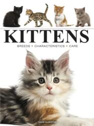 Kittens (ISBN: 9781838864415)