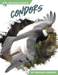Condors (ISBN: 9781637389331)