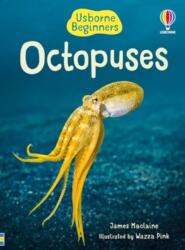 Beginners Octopuses (ISBN: 9781805079675)