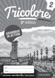 Tricolore Grammar in Action 2 (ISBN: 9781408527443)
