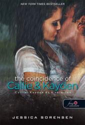 Callie & Kayden és a véletlen (2014)